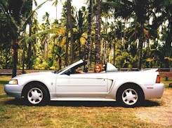 22s.jpg (27029 bytes)