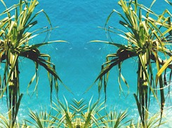 26s.jpg (26953 bytes)