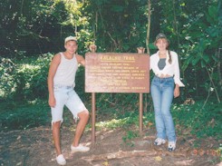 3s.jpg (21285 bytes)